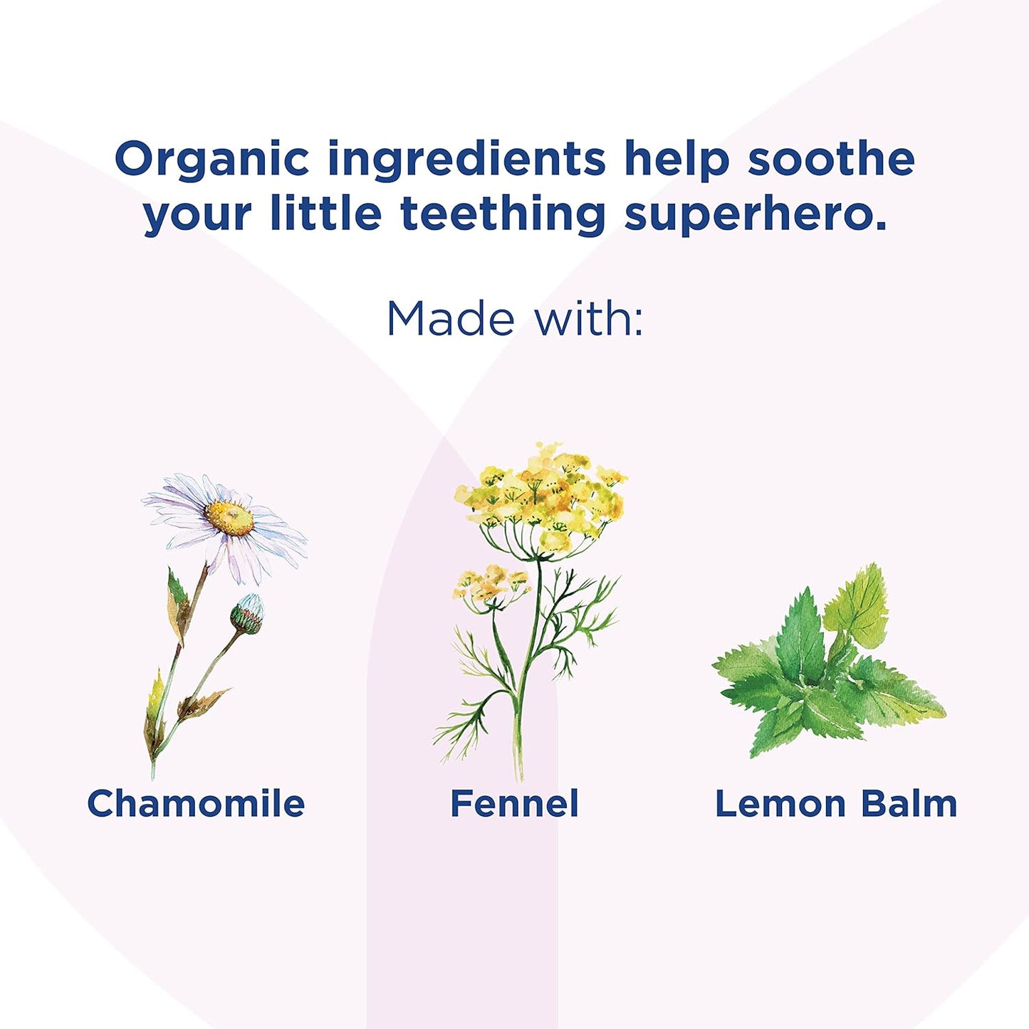 Gel calmante oral orgánico nocturno, con manzanilla, caléndula e hinojo, alivio natural de las molestias orales, irritabilidad e hinchazón