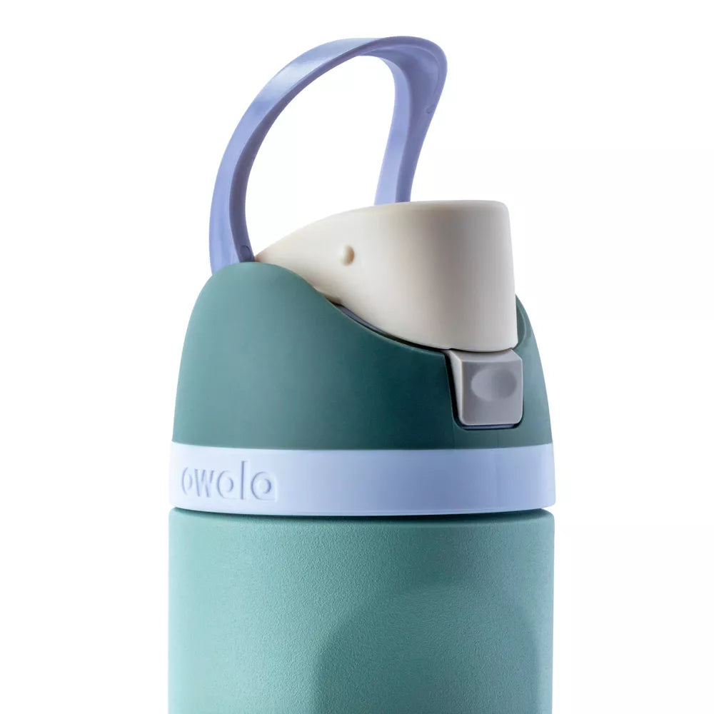 Owala 16oz FreeSip Stainless Steel Water Bottle Color Misty Meadow
