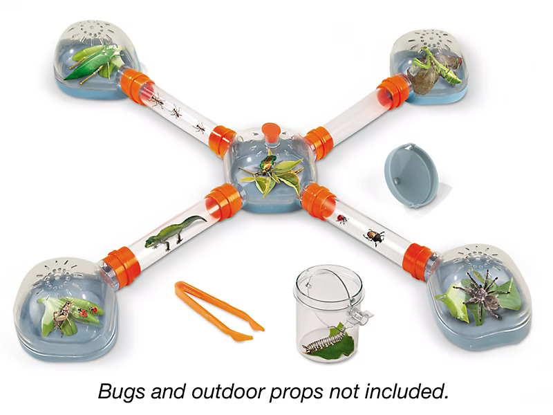 Bug City