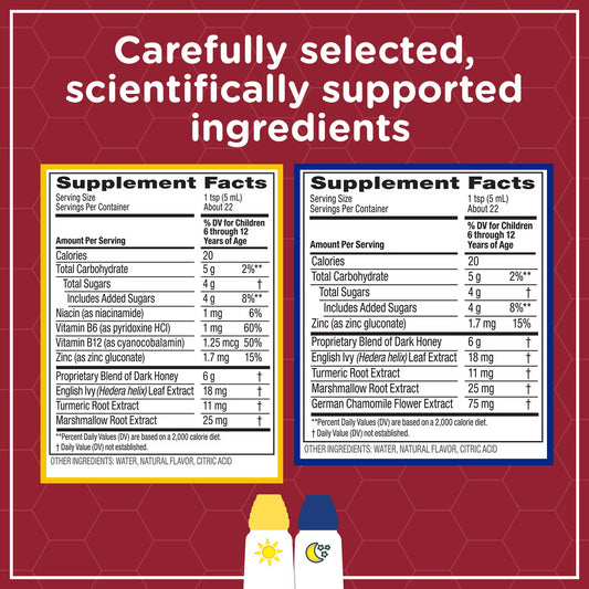 Zarbee’s Kids All-in-One Day/Night Cough, Age 6-12