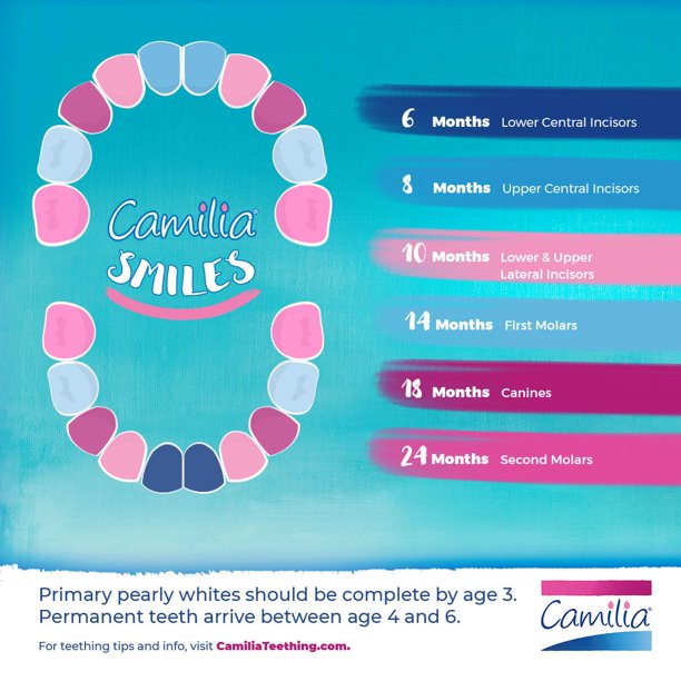 Camilia Liquid Dose 30 Single