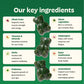 Gruns Gomitas multivitamínicas Super Greens para adultos