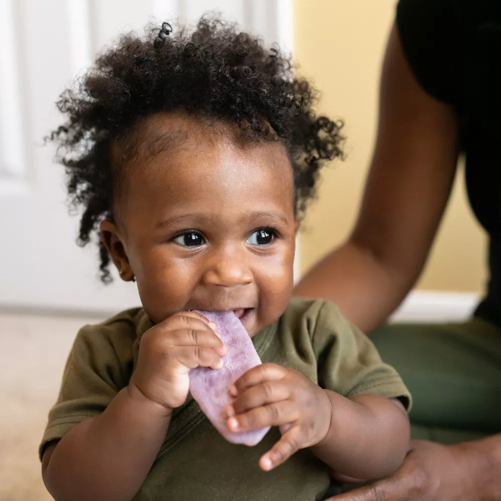 HappyBaby Blueberry & Purple Carrot Organic Teethers - 12ct/0.14oz Each